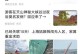 手机浏览器主页网站推荐（为你量身定制的上网利器，让你的上网更高效）