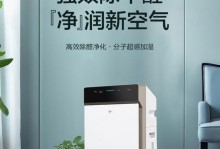松下空气净化器（高效过滤空气污染物，创造洁净空气环境）