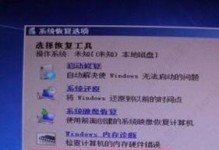 解决电脑管家运行提示IE错误的方法（IE错误常见原因及解决方案）