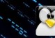 Linux下查看存储空间大小的方法（使用命令行工具快速获取存储空间信息）